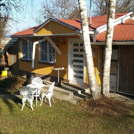 Patricia With Garden * 부다페스트